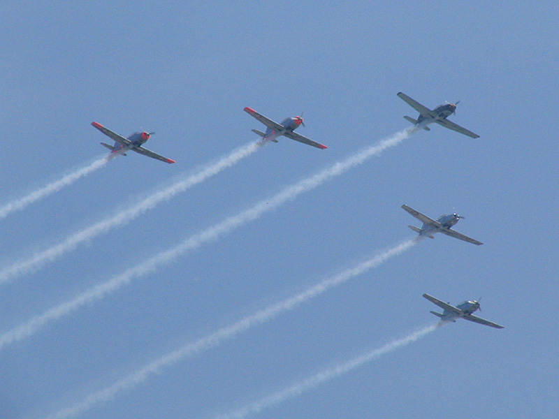 File:Air show aero 2007.jpg